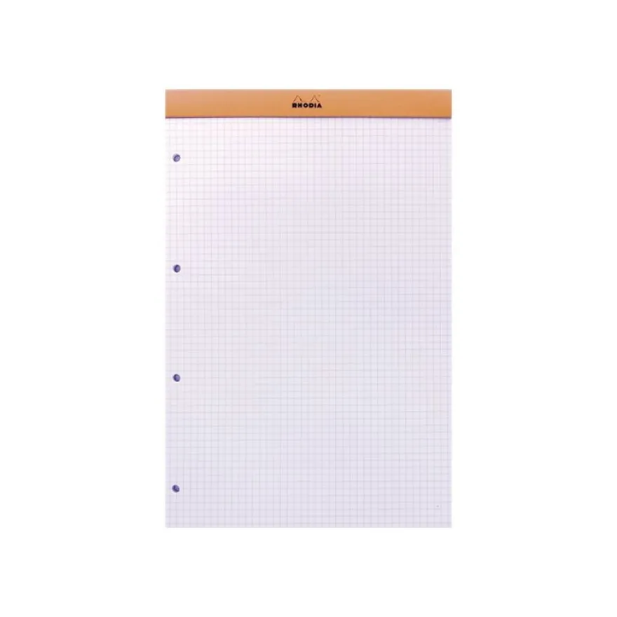 Rhodia Basics - Bloc notes - A4 + - 160 pages - petits carreaux - 80g - perforé