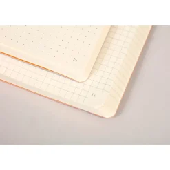 Rhodia Goalbook - Carnet souple A5 - 224 pages numérotées - petits carreaux - taupe