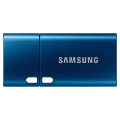 Samsung MUF-256DA - Clé USB 256 Go - USB-C 3.2 Gen 1 - bleu