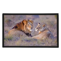 Sous-main Animaux 4 visuels - 59,5 x 36,2 cm - Assortis - Viquel