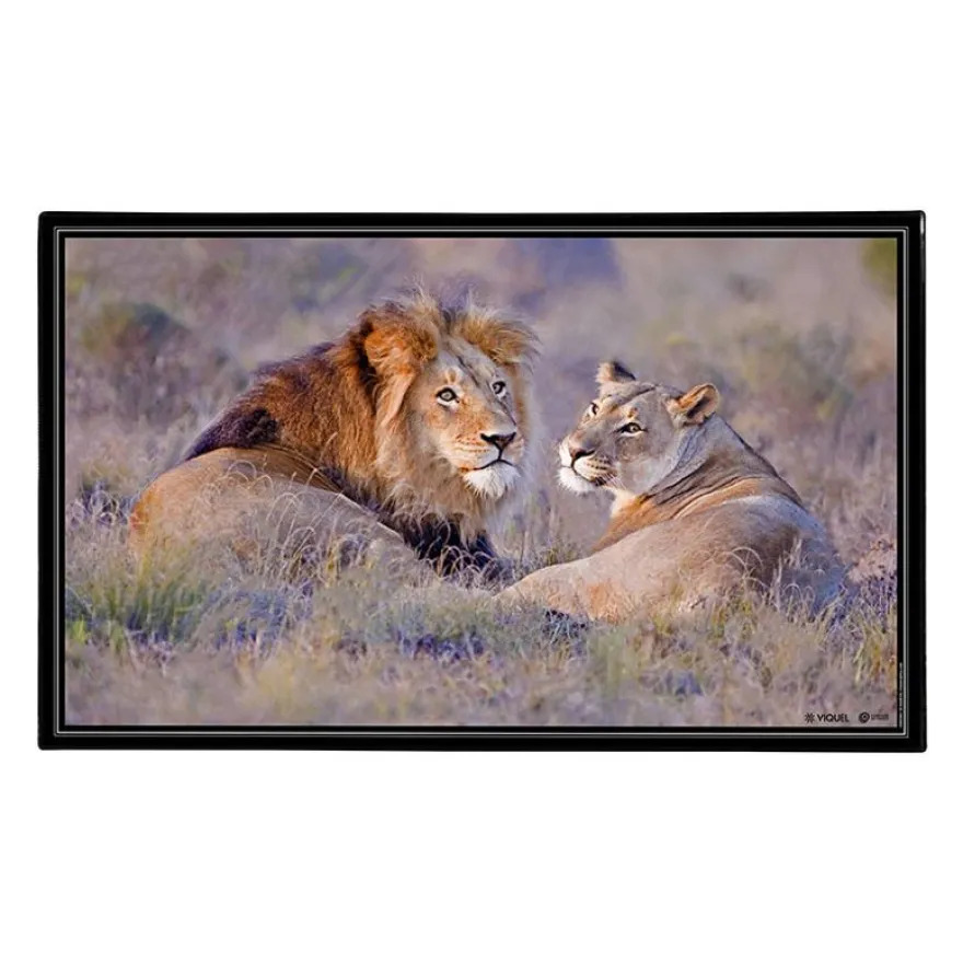 Sous-main Animaux 4 visuels - 59,5 x 36,2 cm - Assortis - Viquel