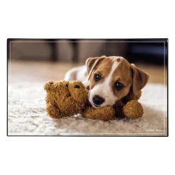 Sous-main Animaux 4 visuels - 59,5 x 36,2 cm - Assortis - Viquel