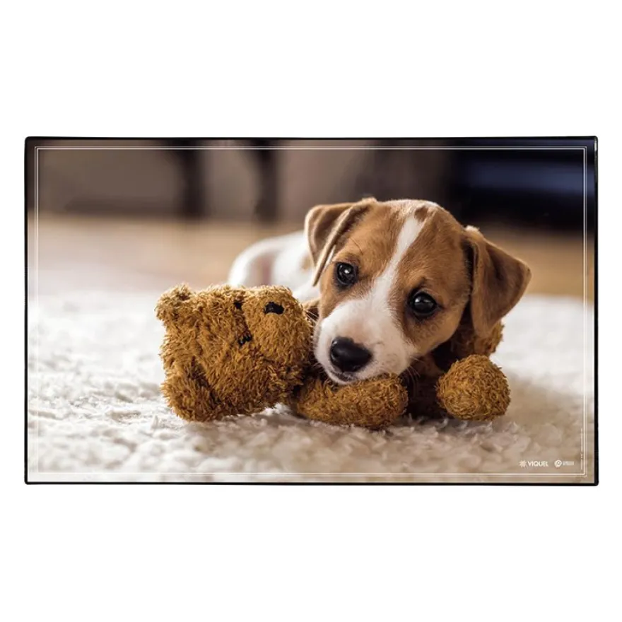 Sous-main Animaux 4 visuels - 59,5 x 36,2 cm - Assortis - Viquel
