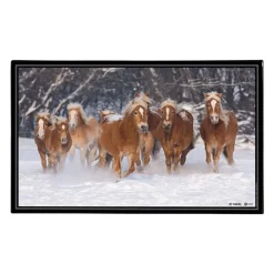 Sous-main Animaux 4 visuels - 59,5 x 36,2 cm - Assortis - Viquel