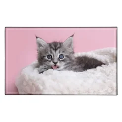 Sous-main Animaux 4 visuels - 59,5 x 36,2 cm - Assortis - Viquel