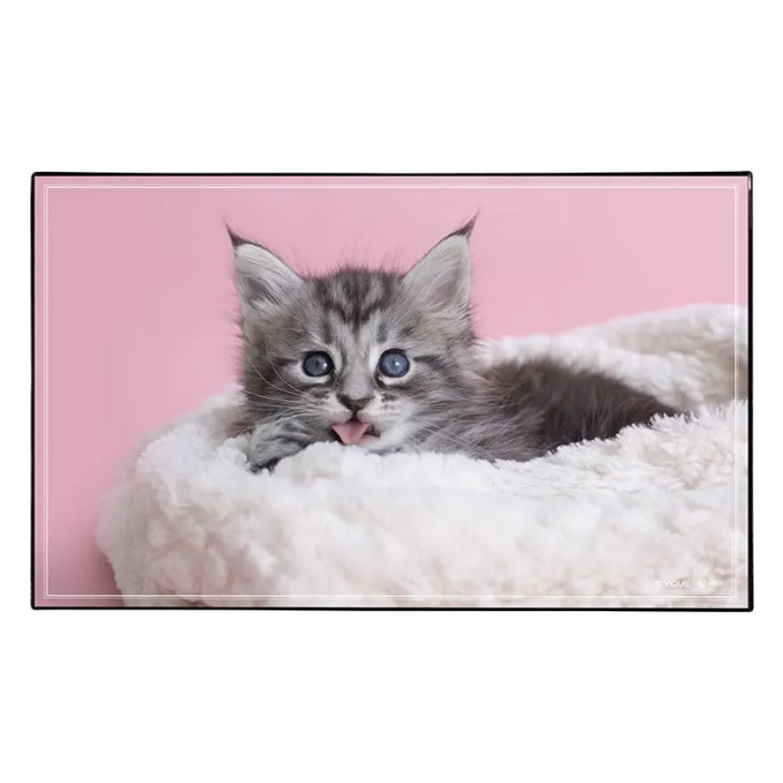 Sous-main Animaux 4 visuels - 59,5 x 36,2 cm - Assortis - Viquel
