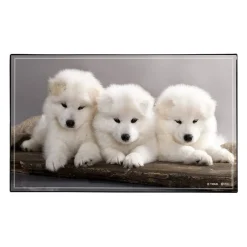 Sous-main Animaux 4 visuels - 59,5 x 36,2 cm - Assortis - Viquel