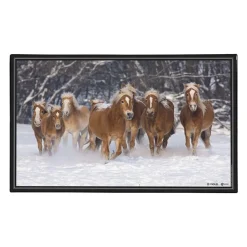 Sous-main Animaux 4 visuels - 59,5 x 36,2 cm - Assortis - Viquel