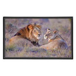 Sous-main Animaux 4 visuels - 59,5 x 36,2 cm - Assortis - Viquel