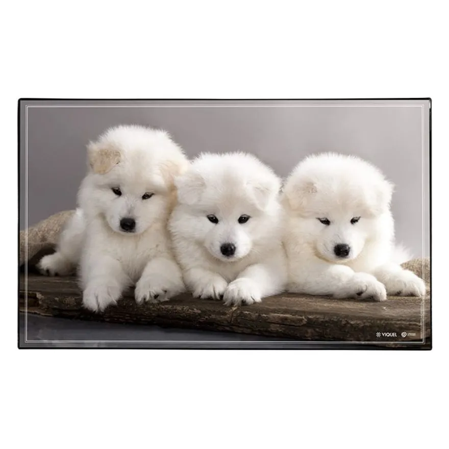 Sous-main Animaux Chaton + Chiots - 59,5 x 36,2 cm - Assortis - Viquel