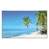 Sous-main Plage - 59,5 x 36,2 cm - Viquel