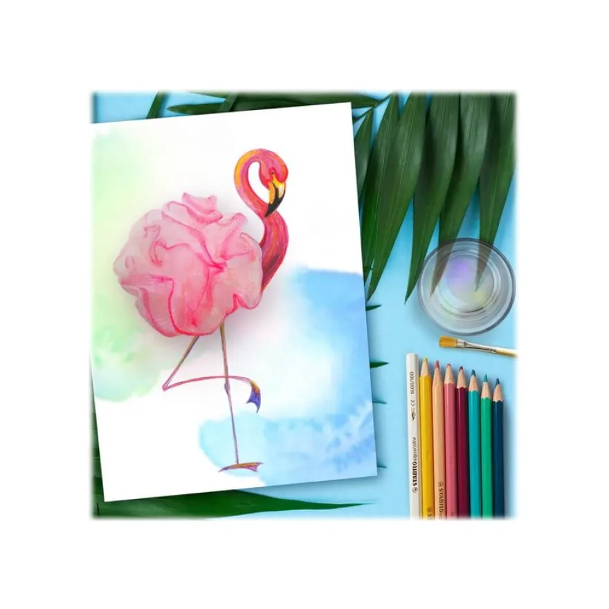STABILO Aquacolor Arty - 12 Crayons de couleur aquarellables