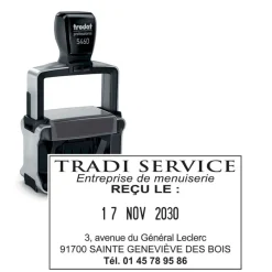 Tampon dateur métallique + 6 lignes de texte personnalisés - zone d'impression 56 x 33 mm - Trodat Professional 5460