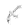 T'nB Ergo - Double bras articulé pour écran - Taille d'écran : 17"-32" - blanc