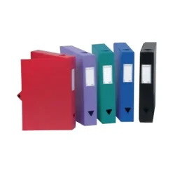 Viquel - Boîte de classement plastique - dos 60 mm - noir