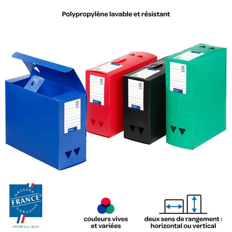 Viquel - Boîte de classement plastique - dos 120 mm - disponible dans différentes couleurs
