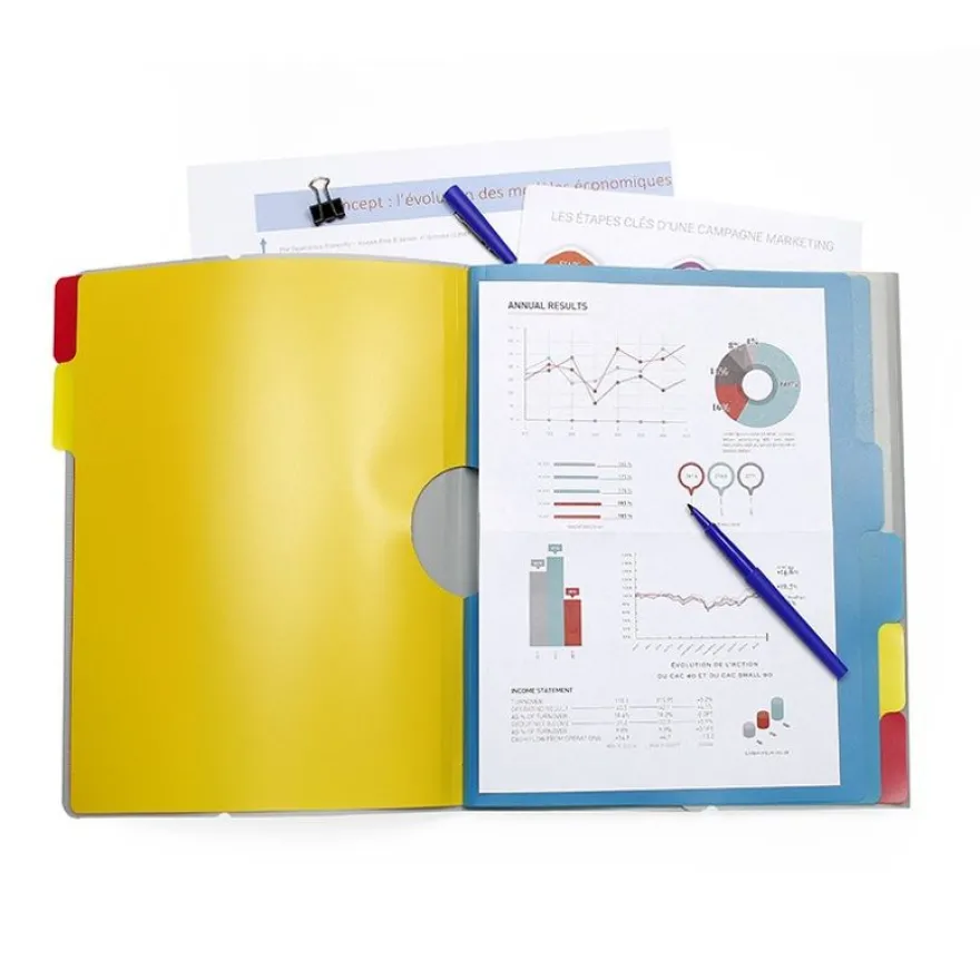 Viquel - Trieur polypro 6 positions - disponible dans différentes couleurs