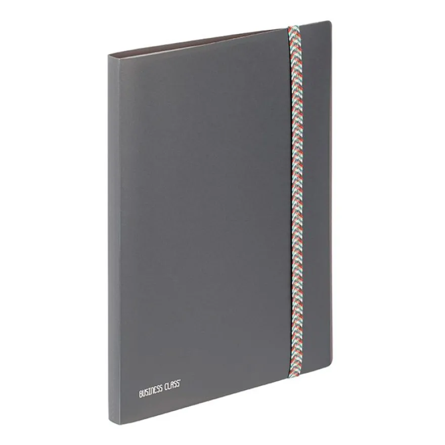 Viquel BUSINESS Class' - Porte vues - 30 compartiments - 60 vues - pour A4 (210 x 297 mm) - disponible en différents coloris