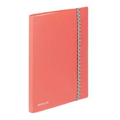 Viquel BUSINESS Class' - Porte vues - 30 compartiments - 60 vues - pour A4 (210 x 297 mm) - disponible en différents coloris