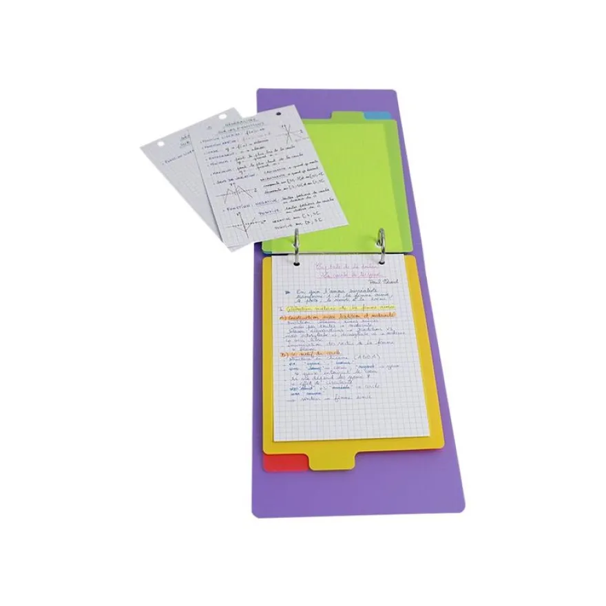 Viquel Happy Fluo - Intercalaire 4 positions - pour fiches Bristol 14,5 x 22,5 cm