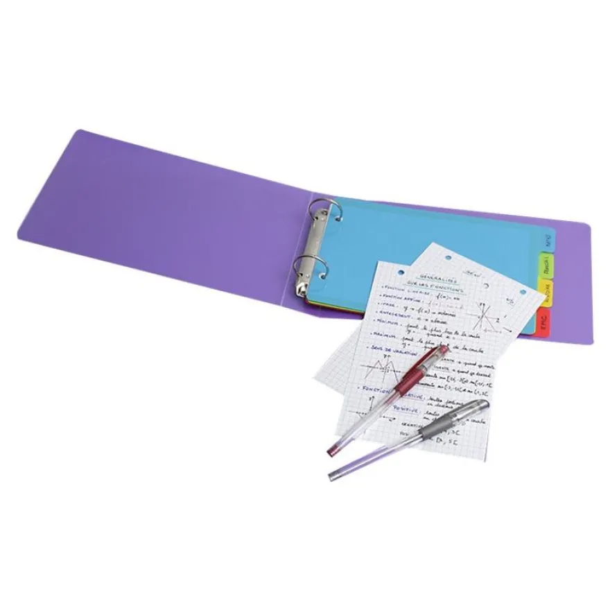 Viquel Happy Fluo - Intercalaire 4 positions - pour fiches Bristol 14,5 x 22,5 cm