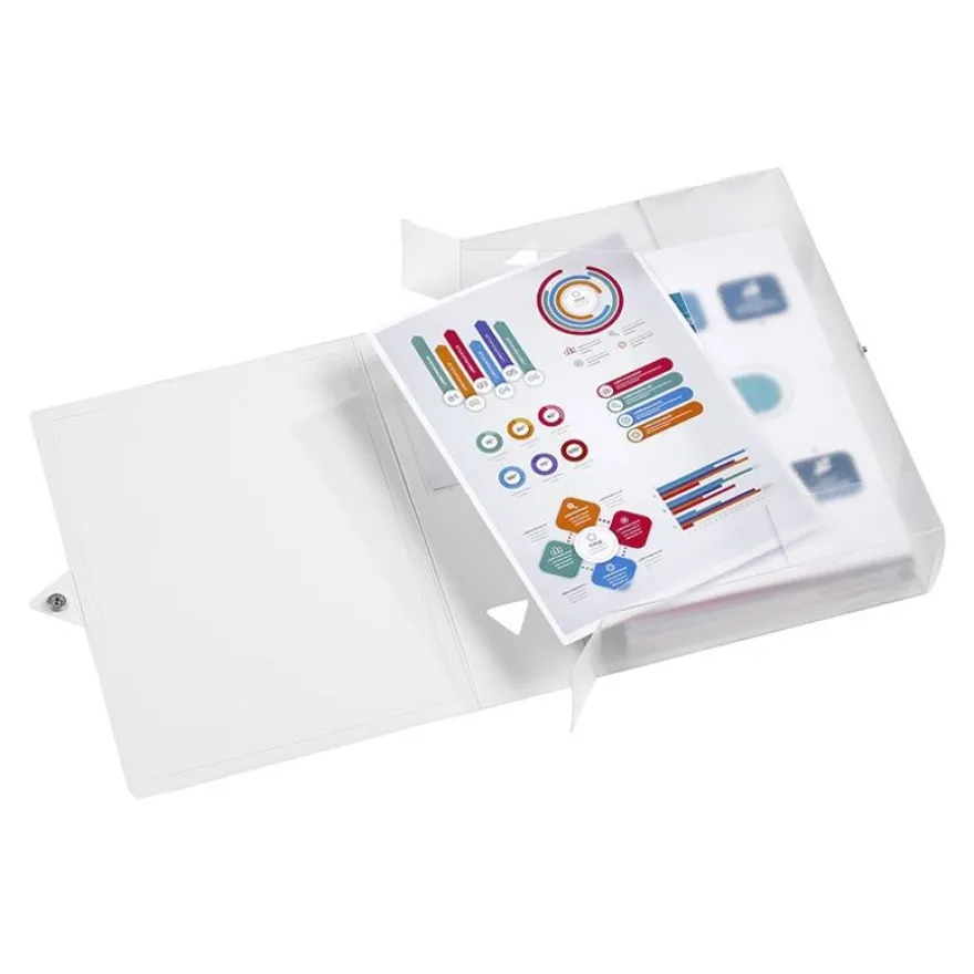 Viquel Propyglass - Boîte de classement plastique - dos 80 mm - incolore