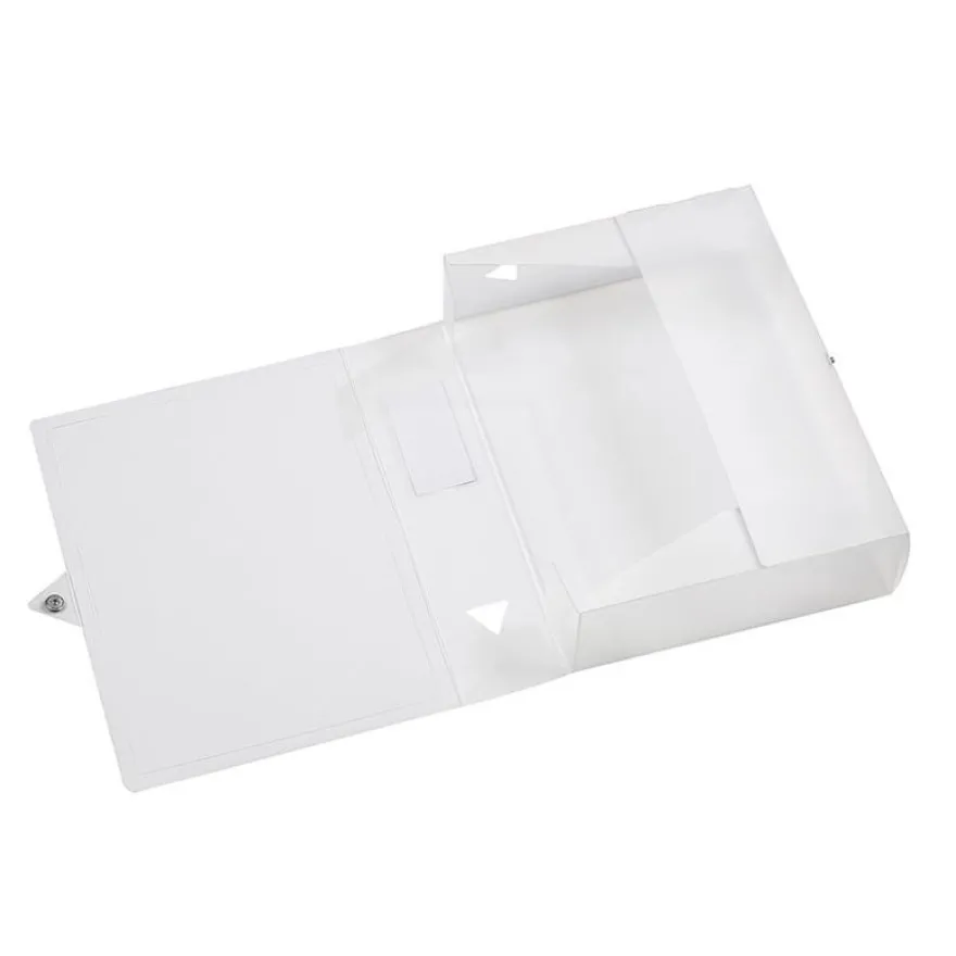 Viquel Propyglass - Boîte de classement plastique - dos 80 mm - incolore