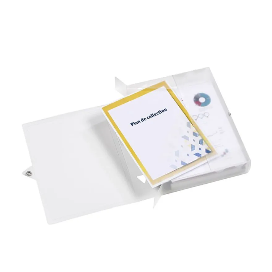 Viquel Propyglass - Boîte de classement plastique - dos 60 mm - incolore