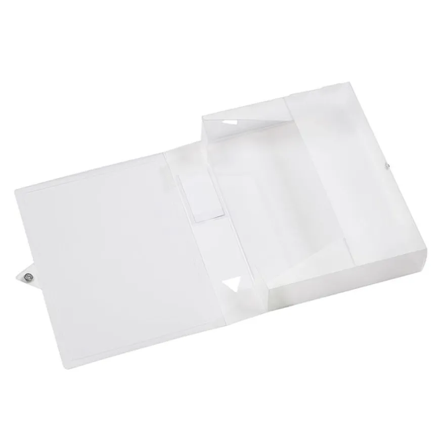 Viquel Propyglass - Boîte de classement plastique - dos 60 mm - incolore