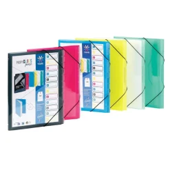 Viquel Propyglass - Trieur personnalisable 12 positions - disponible dans différentes couleurs