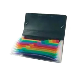 Viquel Rainbow Class - Trieur 12 positions - format chèque