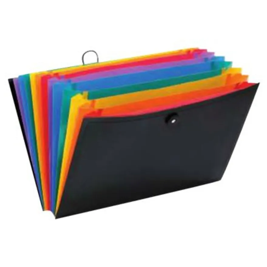 Viquel Rainbow Class - Trieur extensible 12 positions