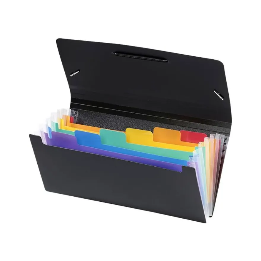 Viquel Rainbow Class - Trieur 6 positions - format chèque