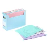 Viquel Rainbow Pastel - Boîte d'archivage EasyCase avec poignées de transport + 8 dossiers suspendus amovibles