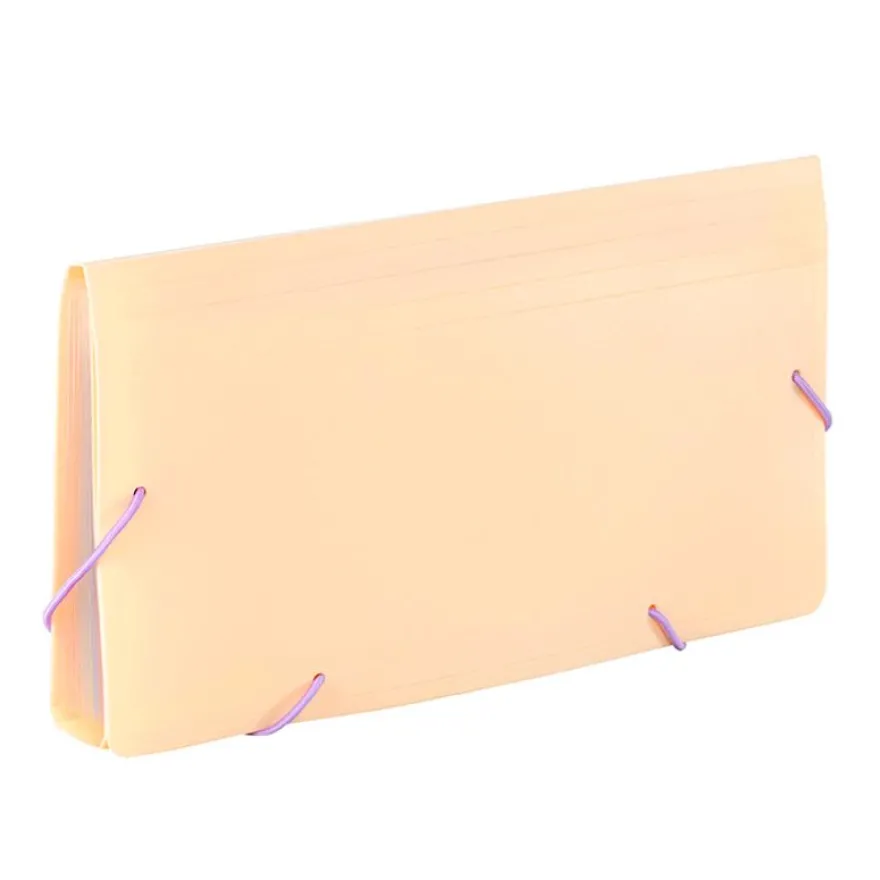 Viquel Rainbow Pastel - Trieur à soufflet - 8 positions - format chèque - disponible en différents coloris