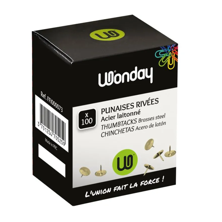 Wonday - 100 Punaises laitonnées (boîte)